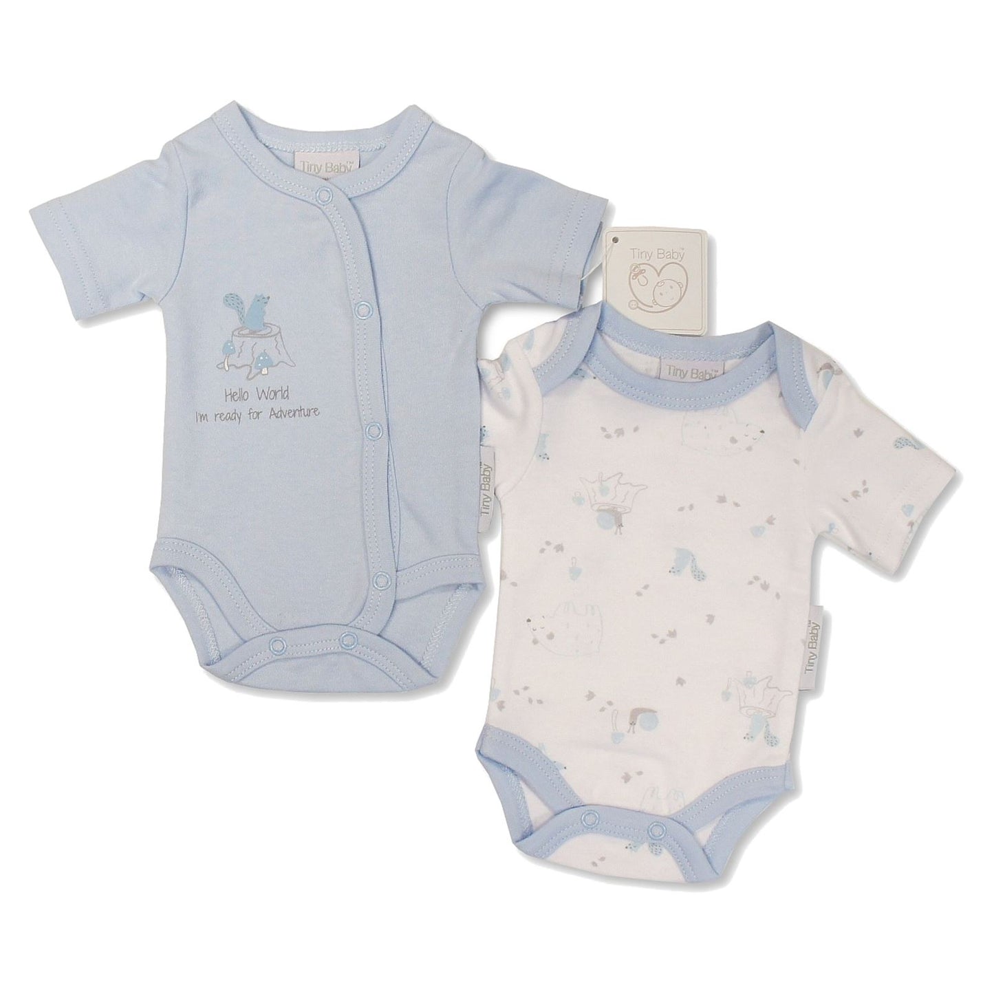 Tiny Baby Bodysuits - 2 Pack